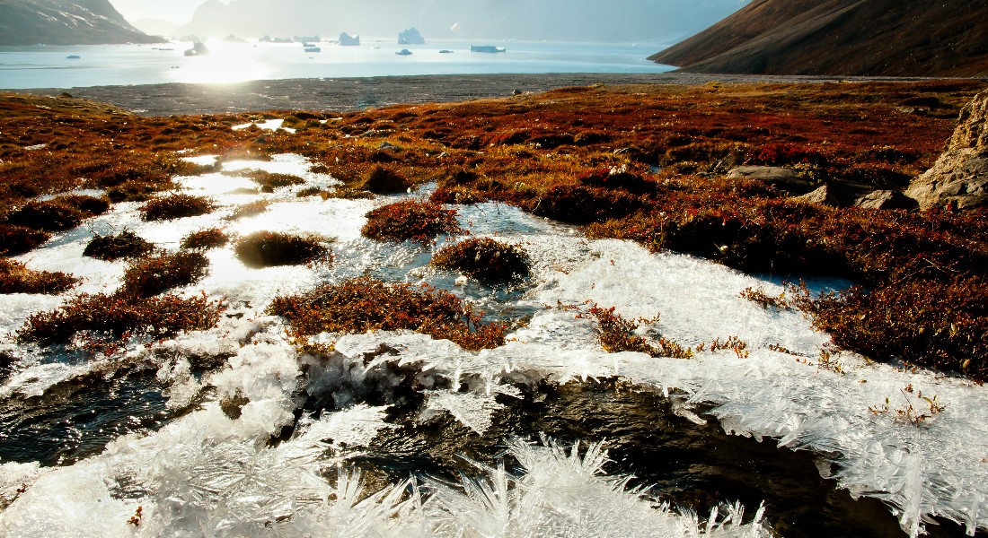 Permafrost in arctic