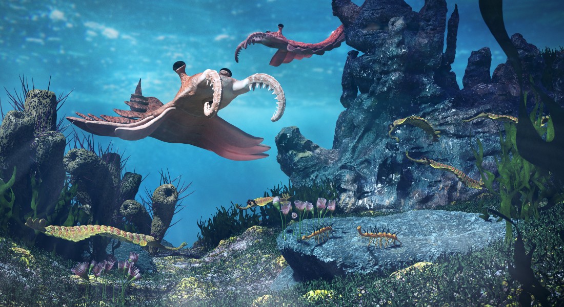 Prehistoric sea creature of the cambrian period