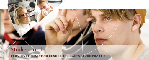 Studiepraktik på Det Natur- og Biovidenskabelige Fakultet