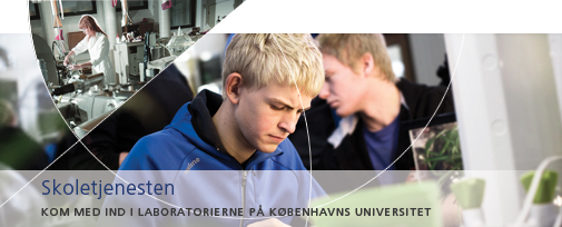 Skoletjenesten