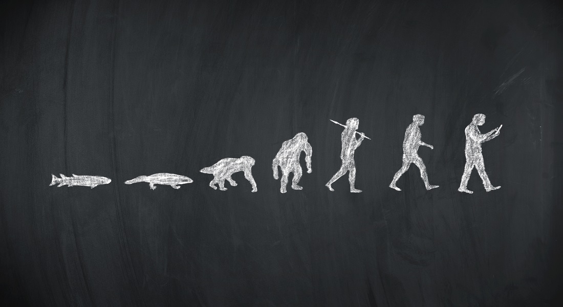 A photo of evolution from animal to man