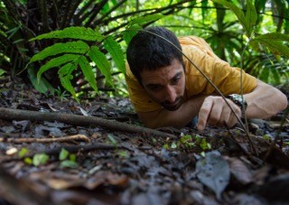 Photo of Jonathan Z. Shik laying on the ground in the rainforest of Panama, studying ants. Photo: Jonathan Z. Shik