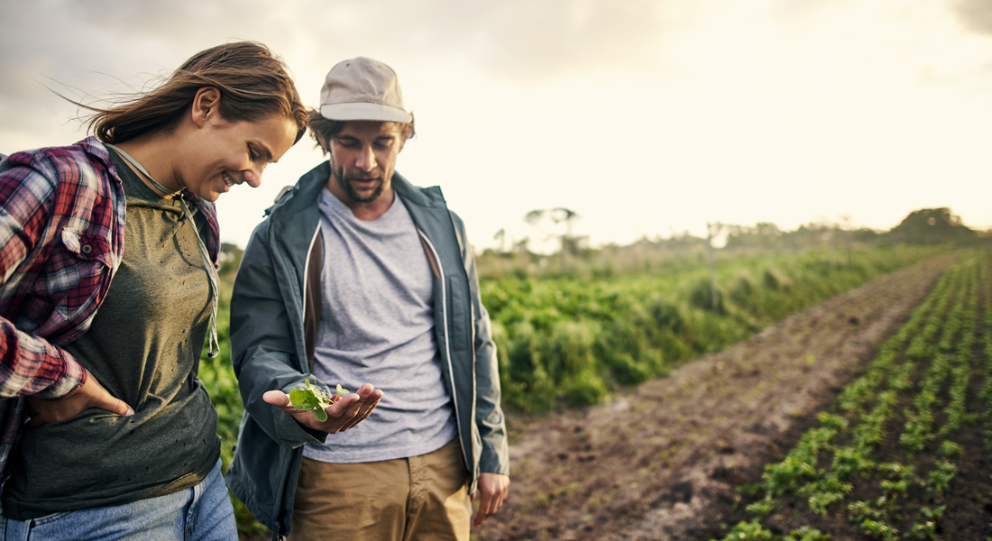 Photo of a man and a woman looking at crops