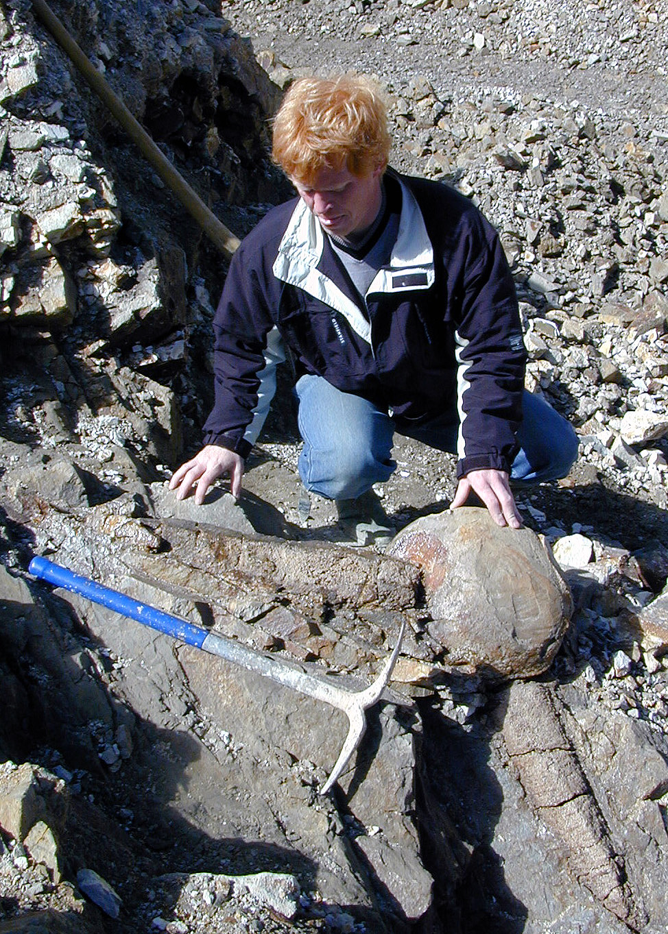 Photo of researcher Henrik Lyngård digging up a glendonite. (Photo: Nicolas Thibault)