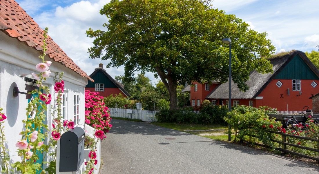 Village Village