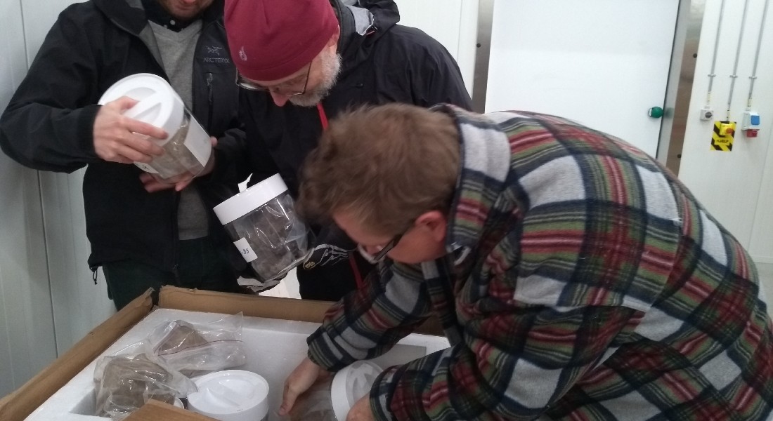 Photo of some of the scientists finding the forgotten ice during a move. Photo: Dorthe Dahl-Jensen. Photo of some of the scientists finding the forgotten ice during a move. Photo: Dorthe Dahl-Jensen.