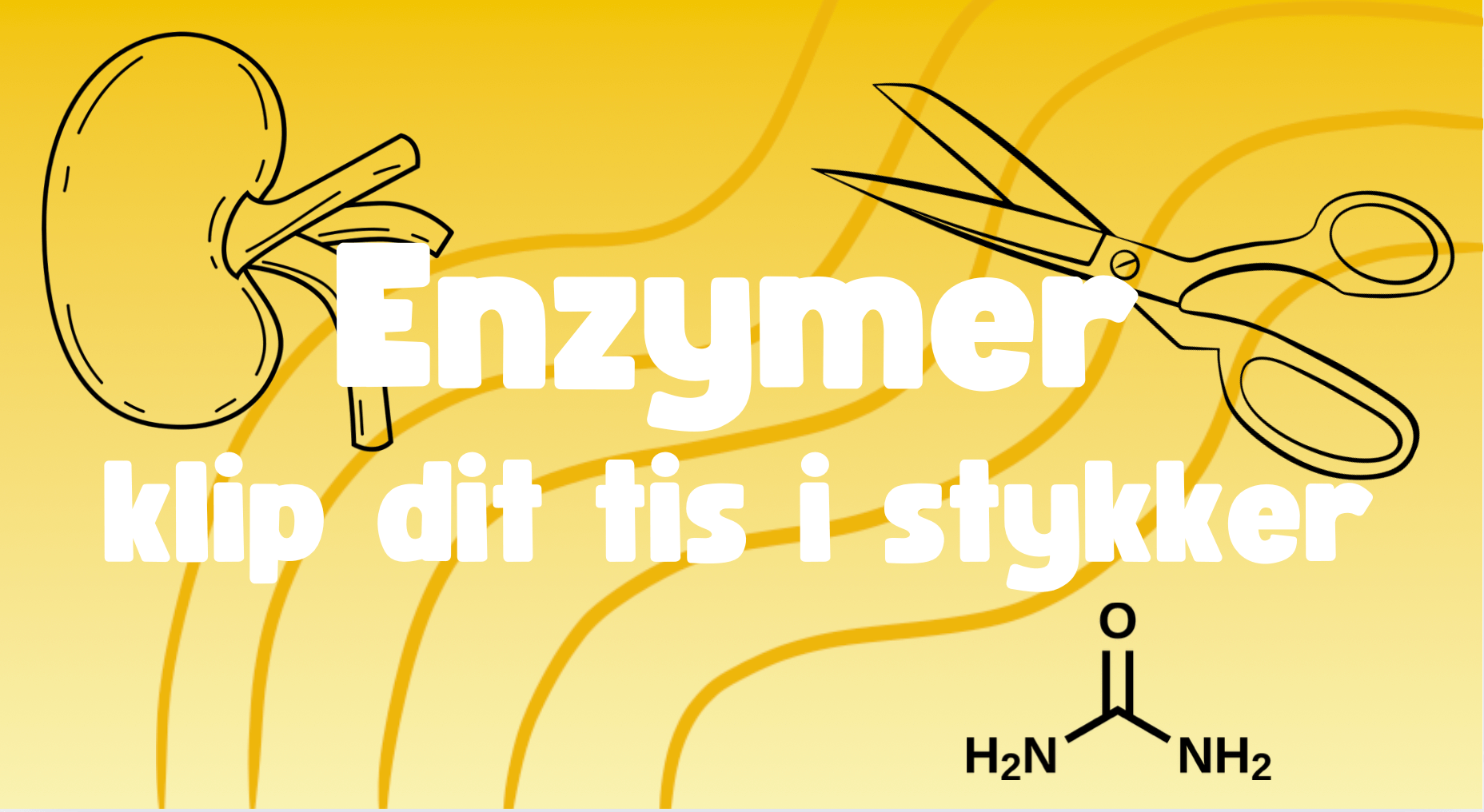 Book forløbet: Enzymer - klip dit tis i stykker