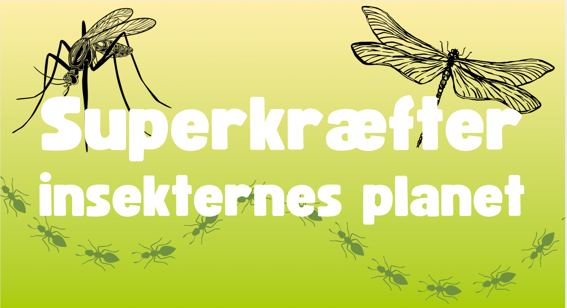 Book forløbet: Superkræfter - insekternes planet